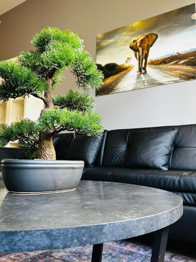 Spacious & Stylish In - Supercentral